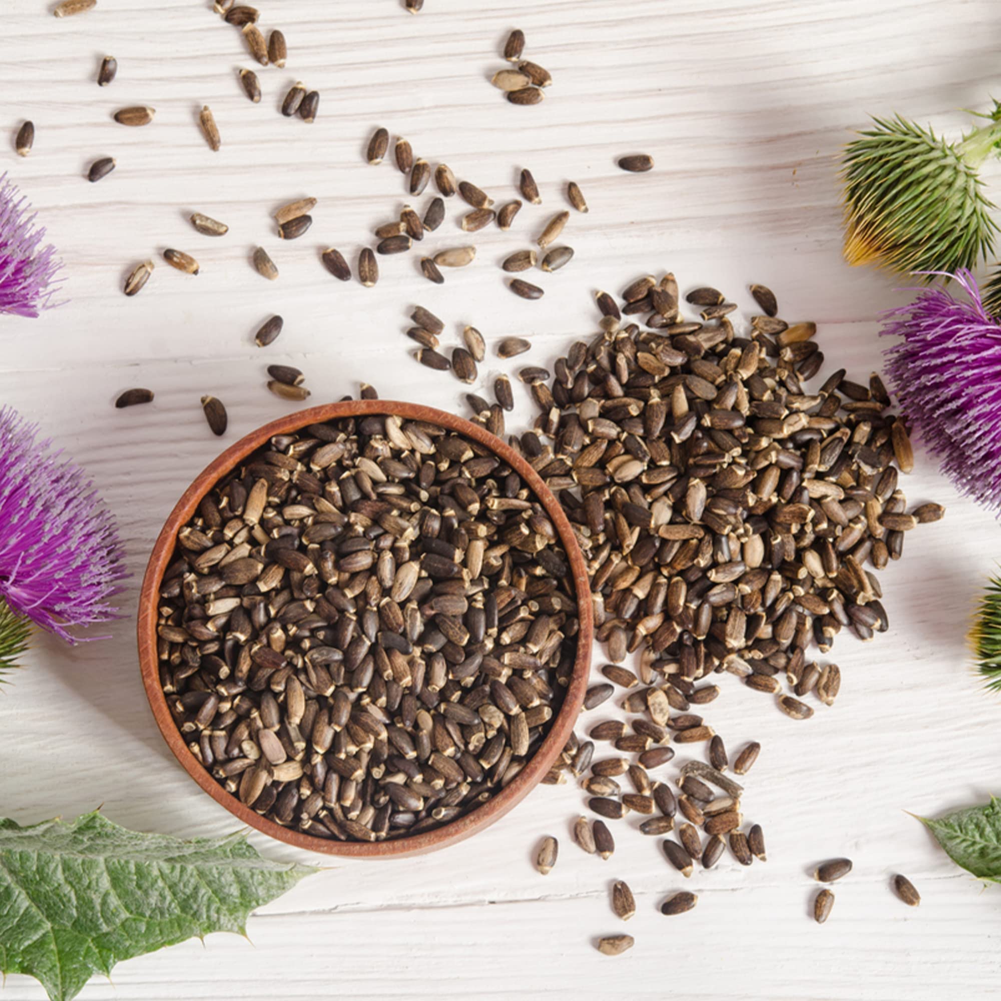 Whole organic milk thistle seed for tea, capsules, or food