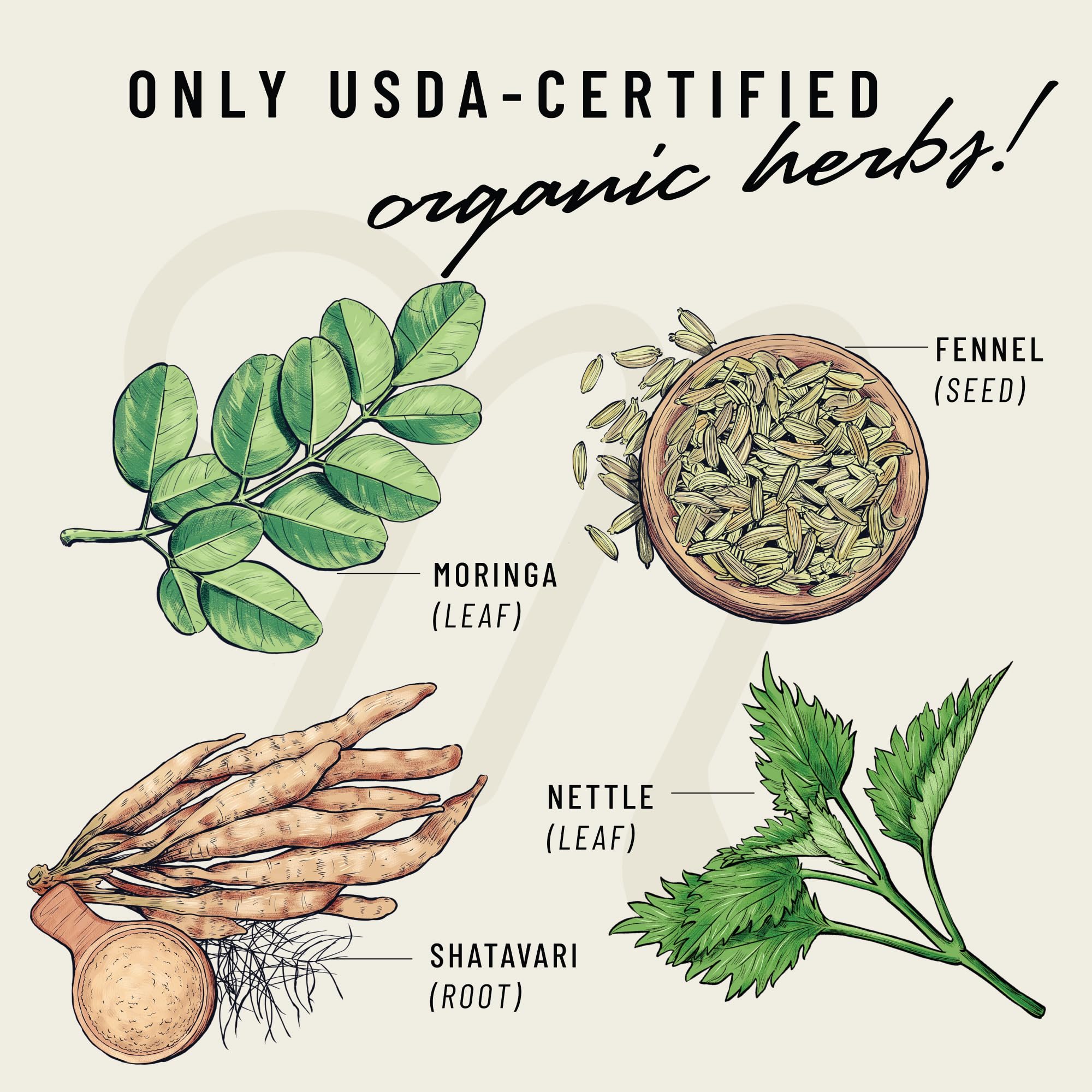 Close-up of Nettle leaves