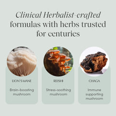 Mind Over Matter packaging showing vegan and sugar-free labels