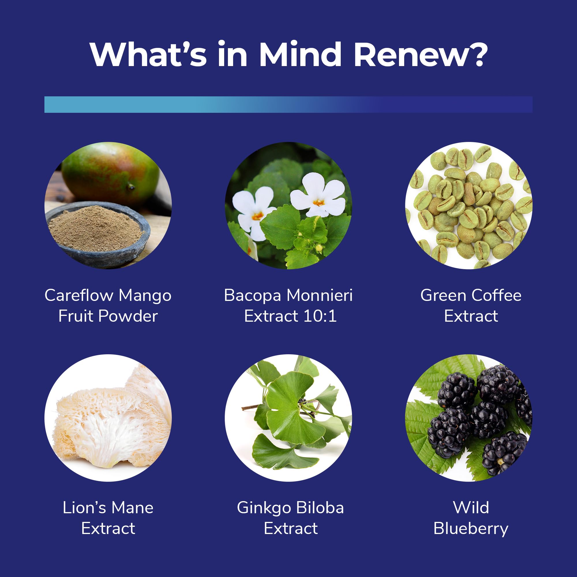 Ingredients illustration showing Lion's Mane and Ginkgo Biloba for Mind Renew