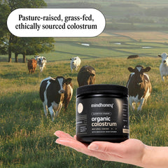 Illustration showing gut health benefits of colostrum