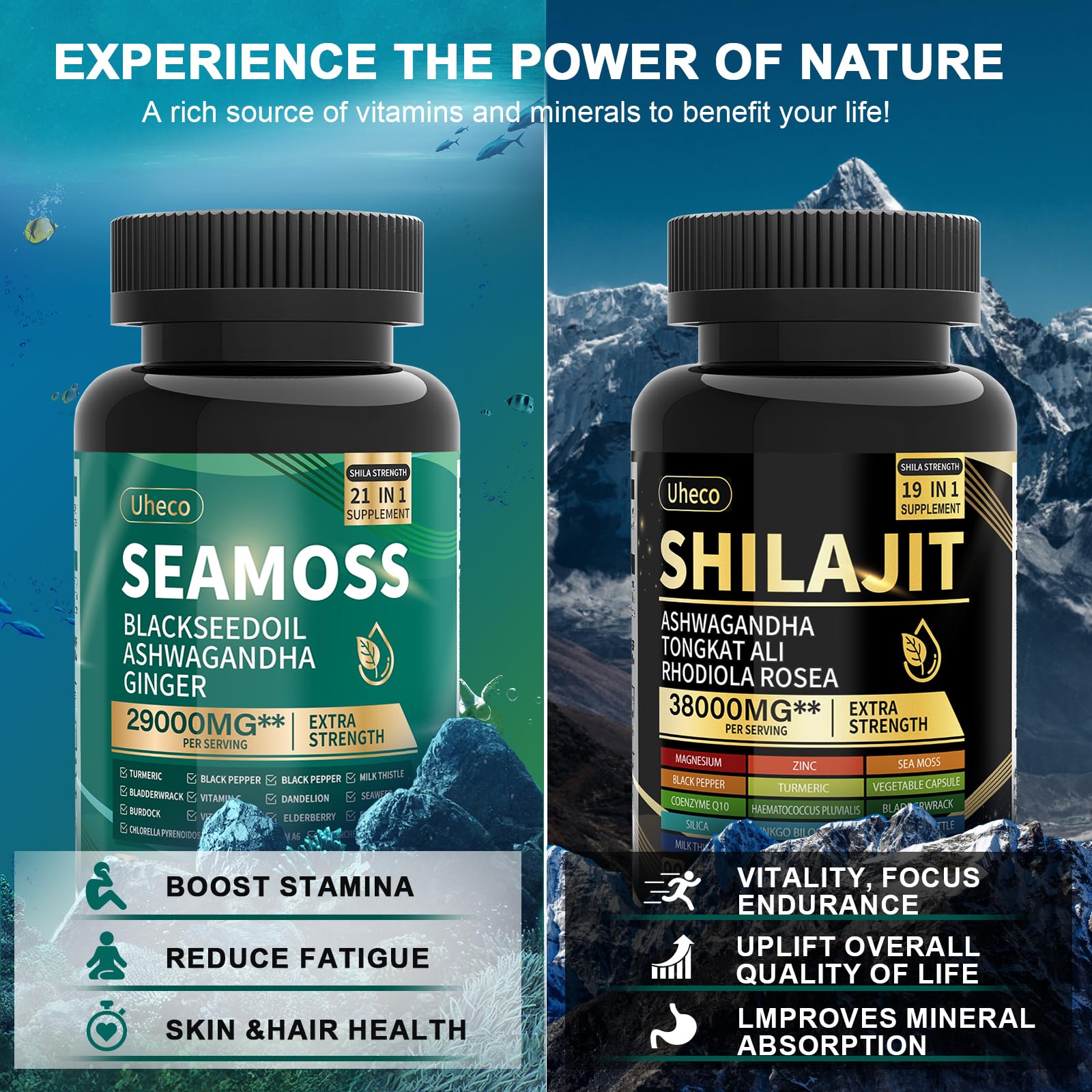 Dynamic vitality bundle featuring Sea Moss, Shilajit and adaptogens