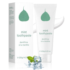 Mint Toothpaste 3.5 oz tube – front view