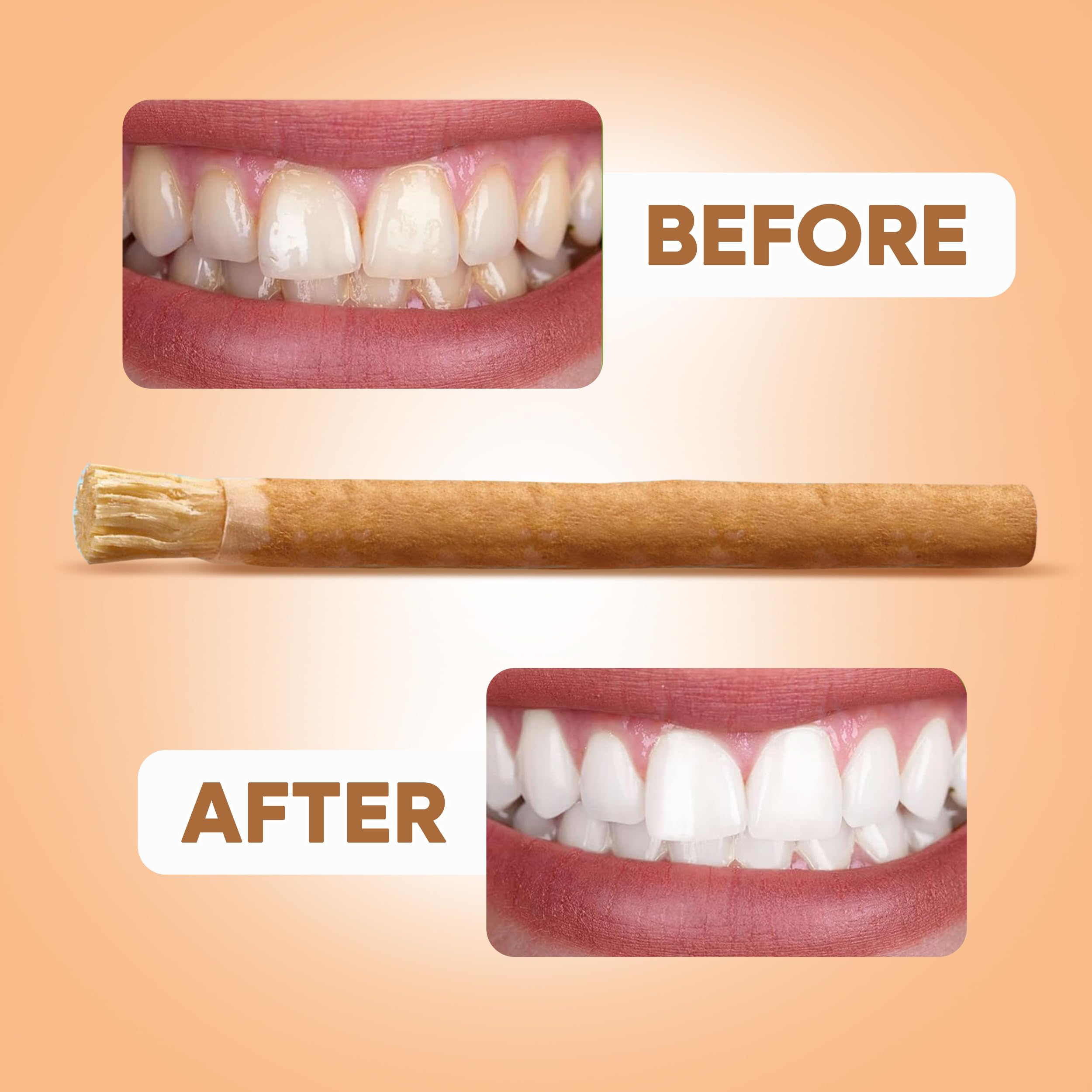 Close-up of soft bristles on Miswak toothbrush