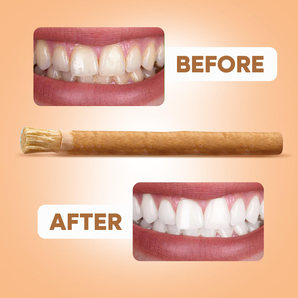 Close-up of soft bristles on Miswak toothbrush