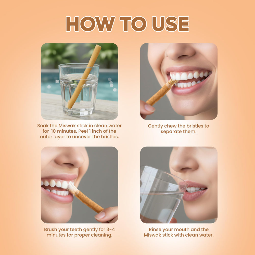 Natural Miswak toothbrush holder