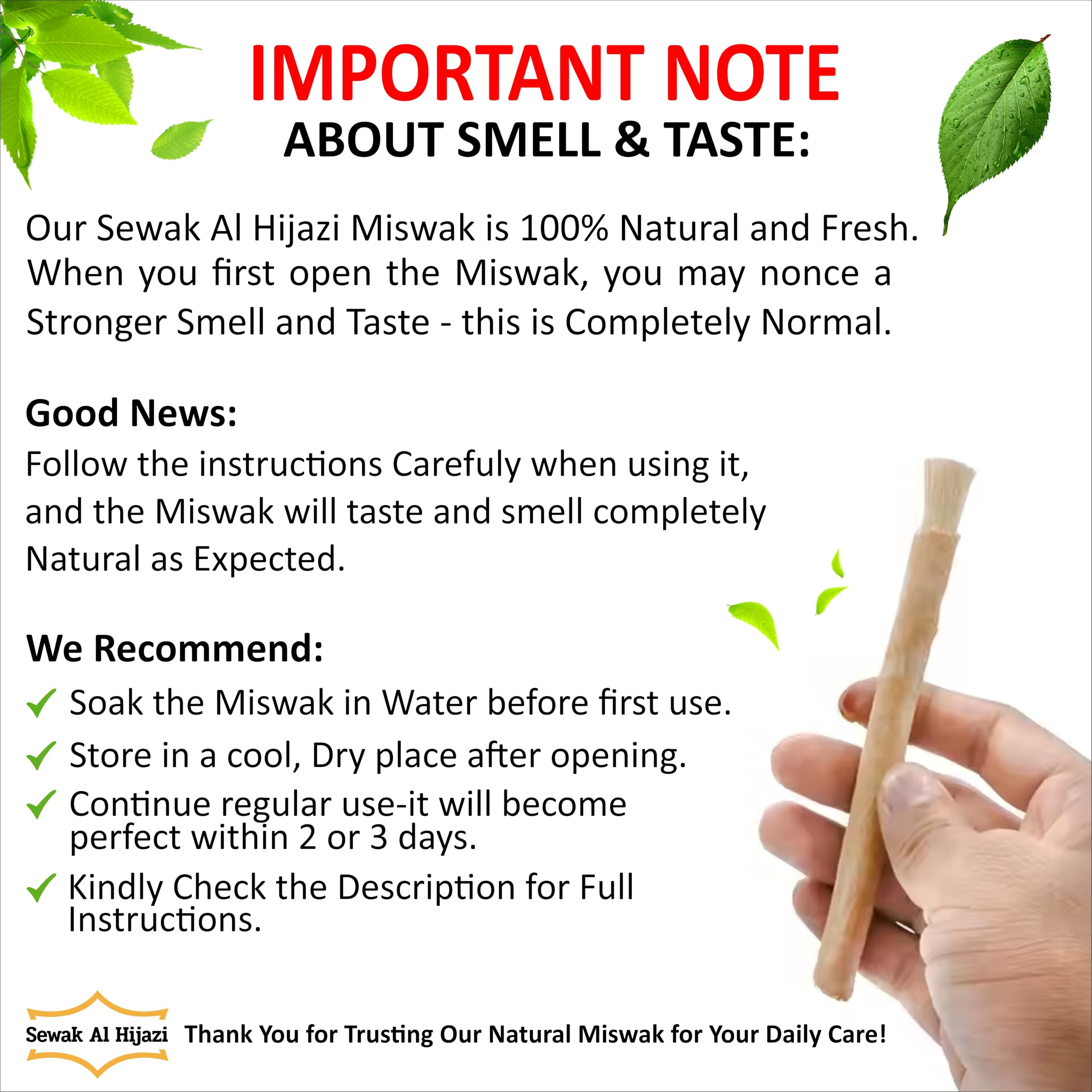 Miswak sticks promoting gum health and fresh breath