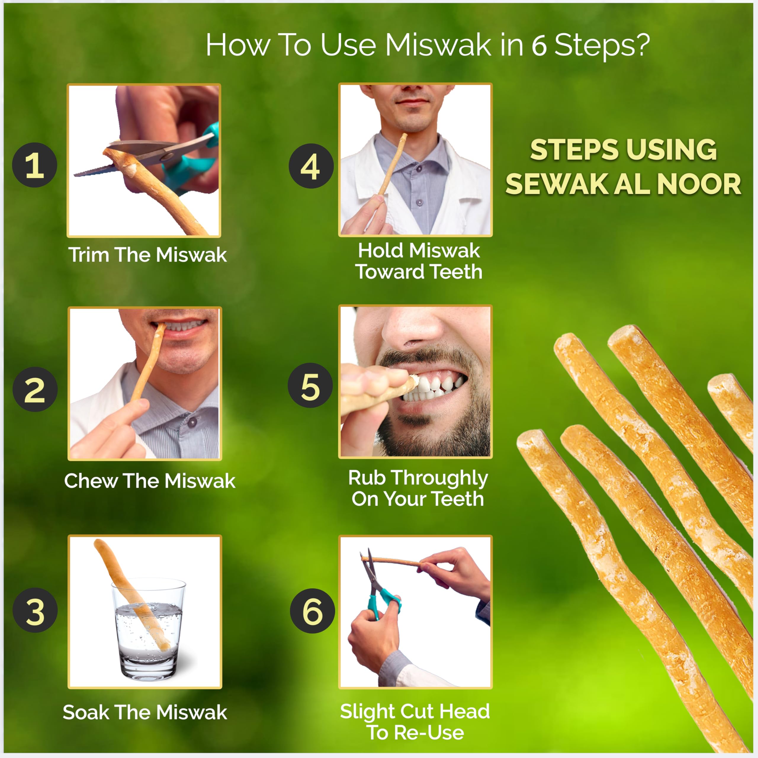 Miswak sticks with holder and packaging