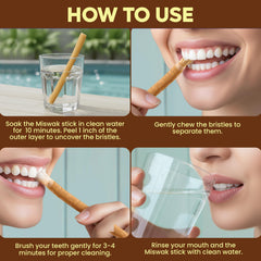 Close-up of Miswak sticks in Sewak Al Najam 10/PK with holder
