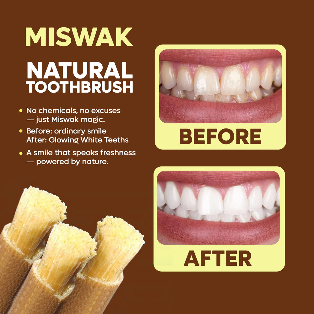 Holder with Miswak sticks arranged together