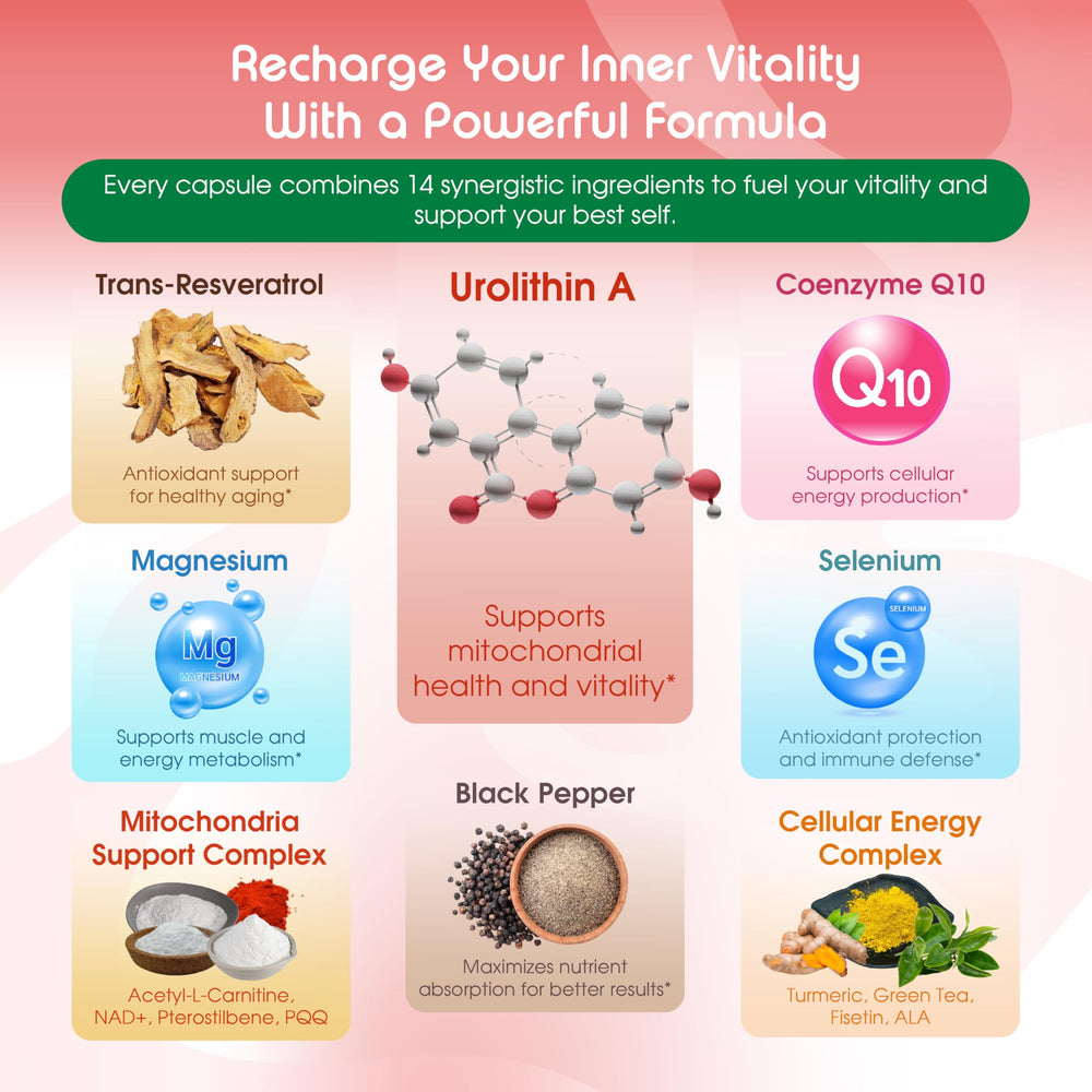 Mitochondrial health support graphic
