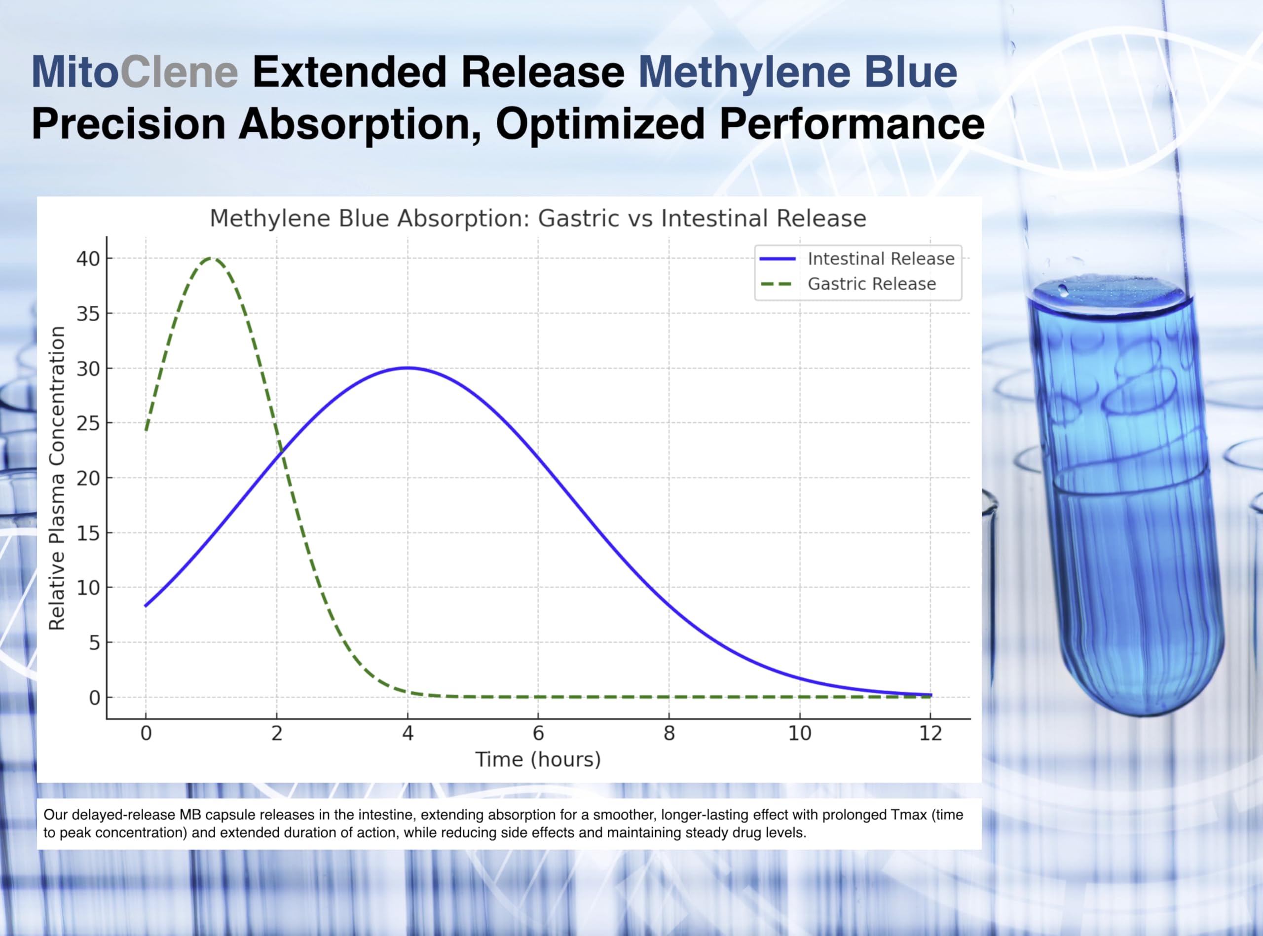 Brain mitochondria illustration representing MitoClene benefits