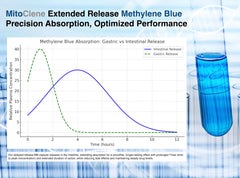 Brain mitochondria illustration representing MitoClene benefits