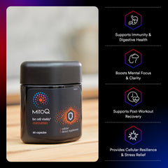 Close-up of Longvida Curcumin and MitoQ ingredients on label