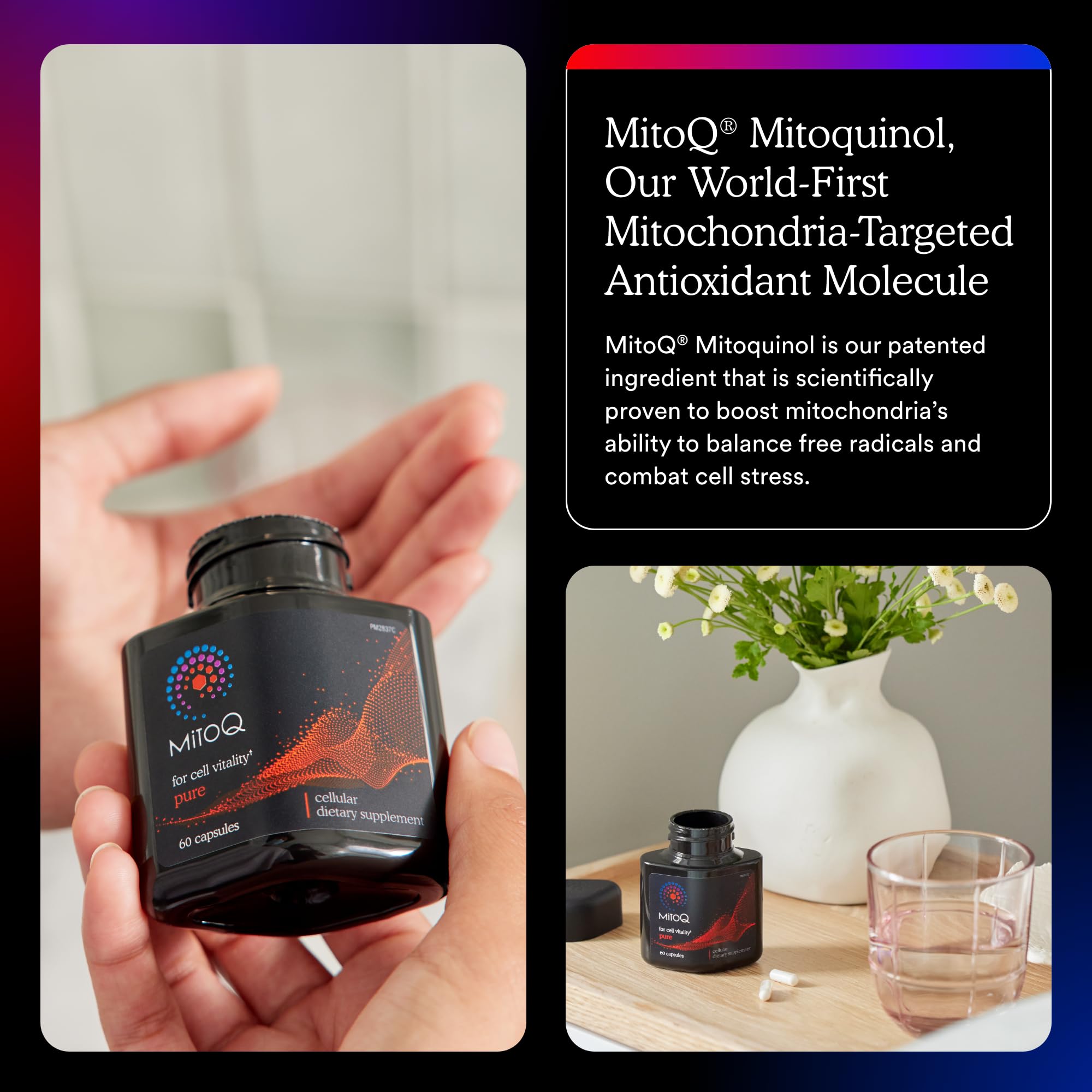 Third-party safety certifications and GMP icons