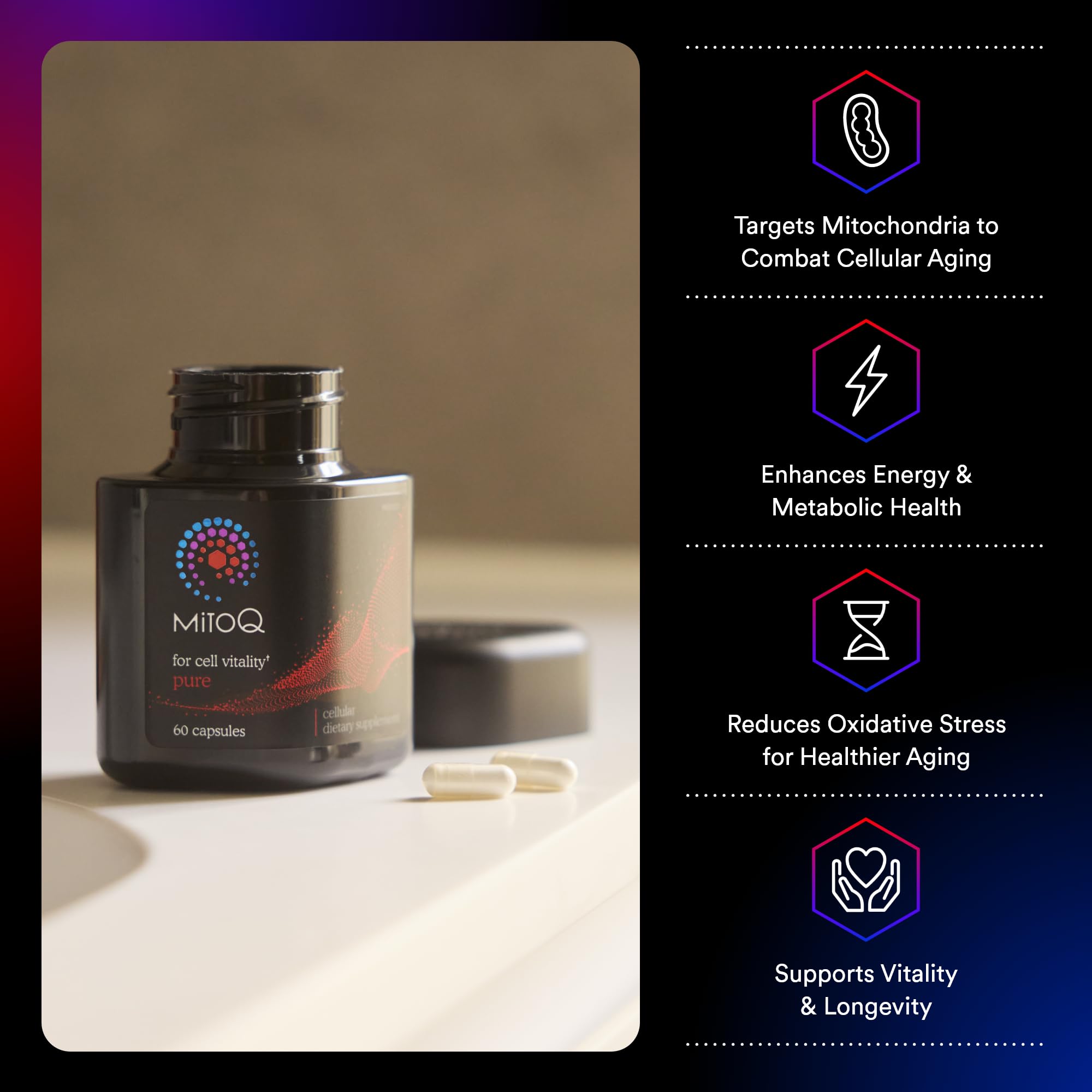 MitoQ Pure bottle back view with supplement details