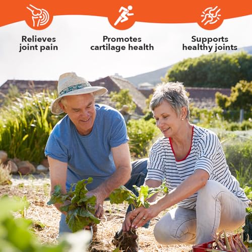 Ingredient blend of MSM, Chondroitin, Collagen, Gl glucosamine and Turmeric