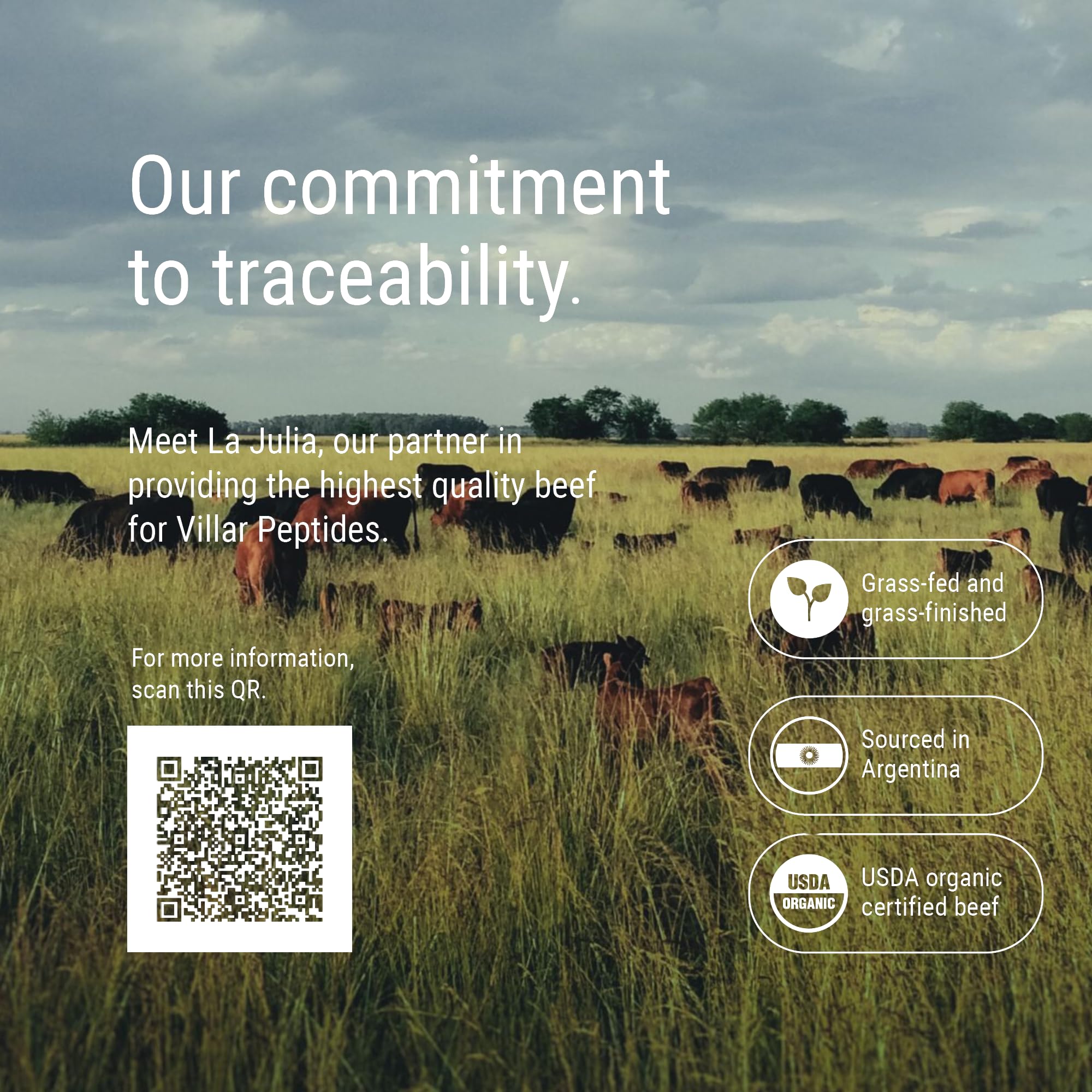 Graphic illustrating joint mobility and recovery