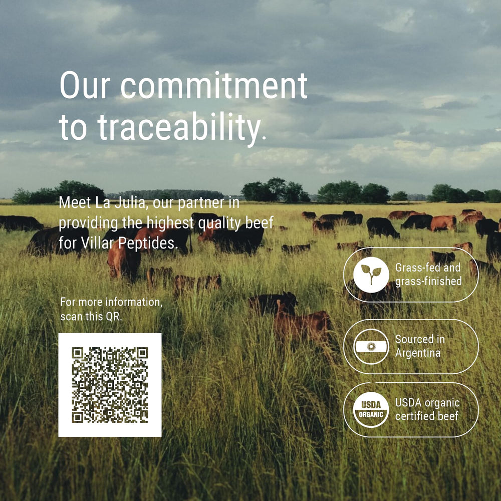 Graphic illustrating joint mobility and recovery