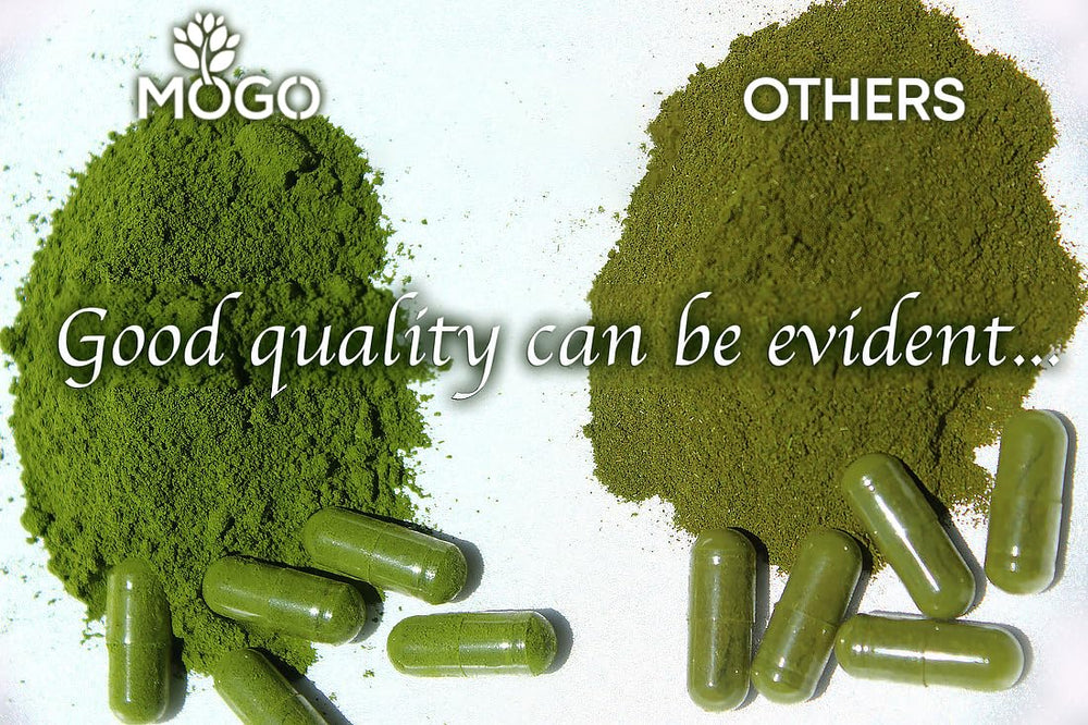Organic moringa leaf powder used in capsules