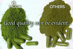 Organic moringa leaf powder used in capsules