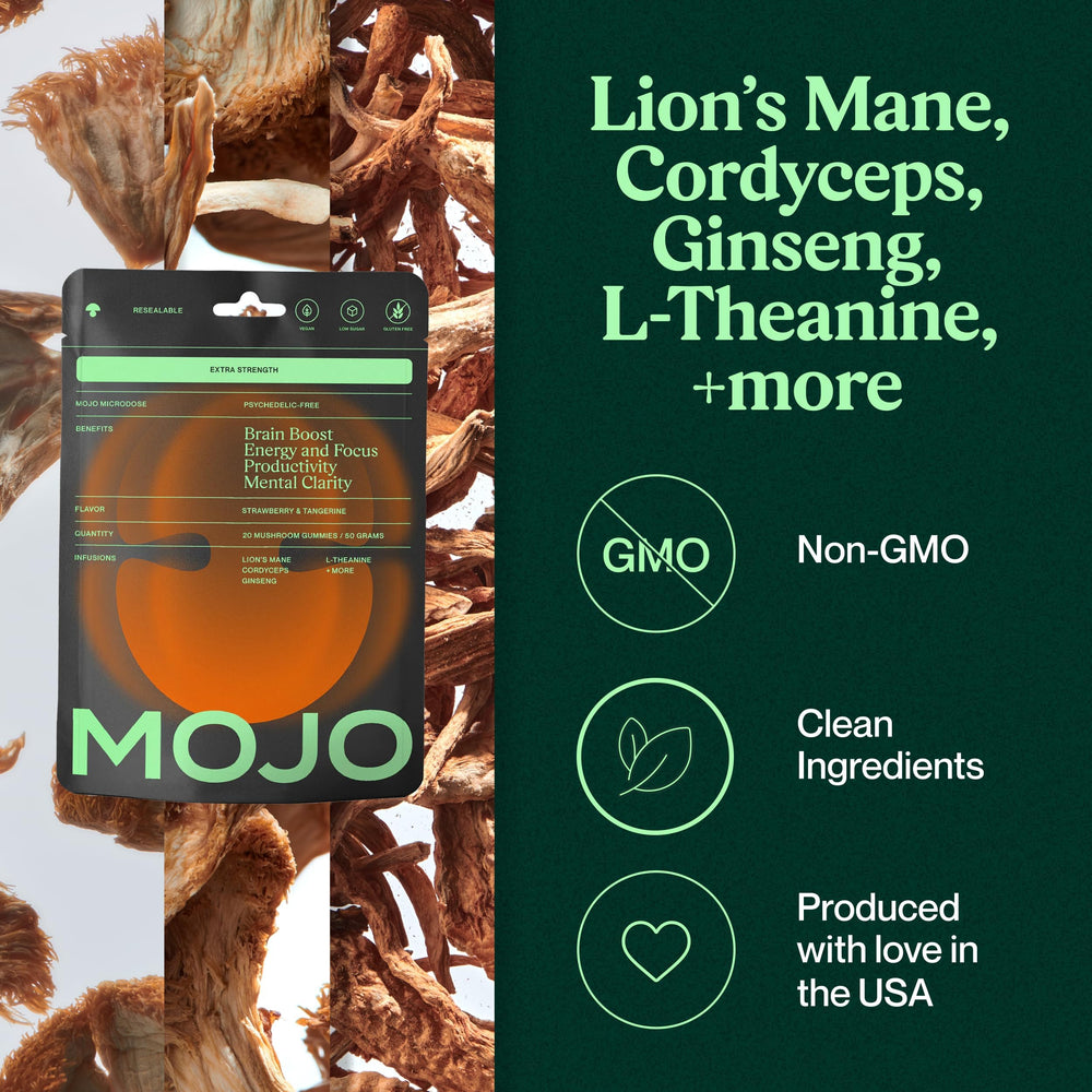 Ingredient lineup featuring Lion’s Mane, Panax Ginseng and Cordyceps