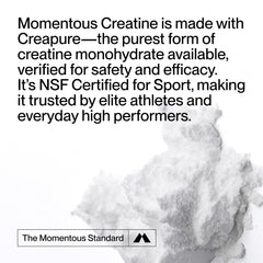 Scoop of Momentous Creatine Monohydrate powder