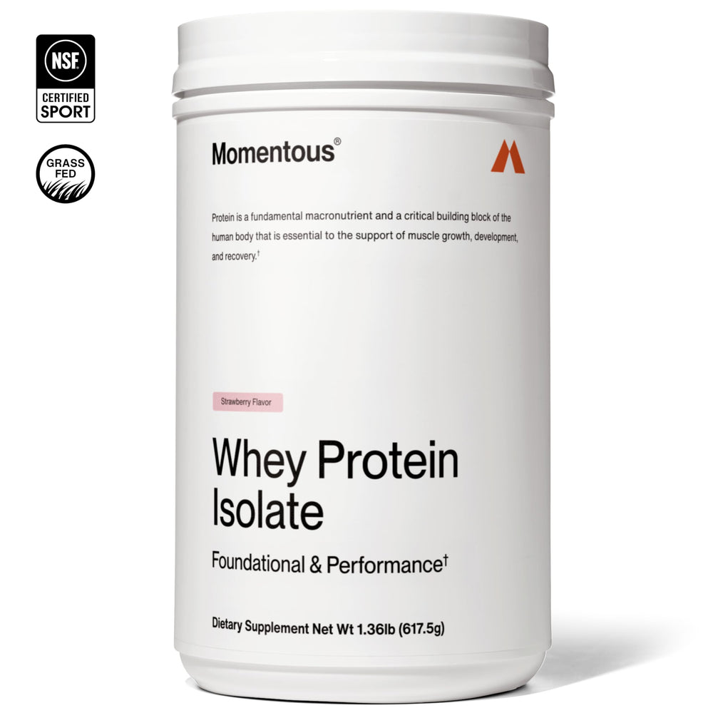 Scoop of Momentous Grass-Fed Whey Protein Powder Strawberry