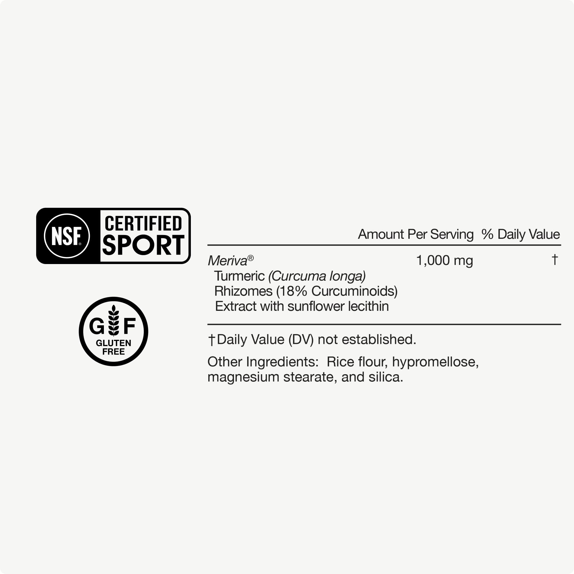 Fresh turmeric roots and powder