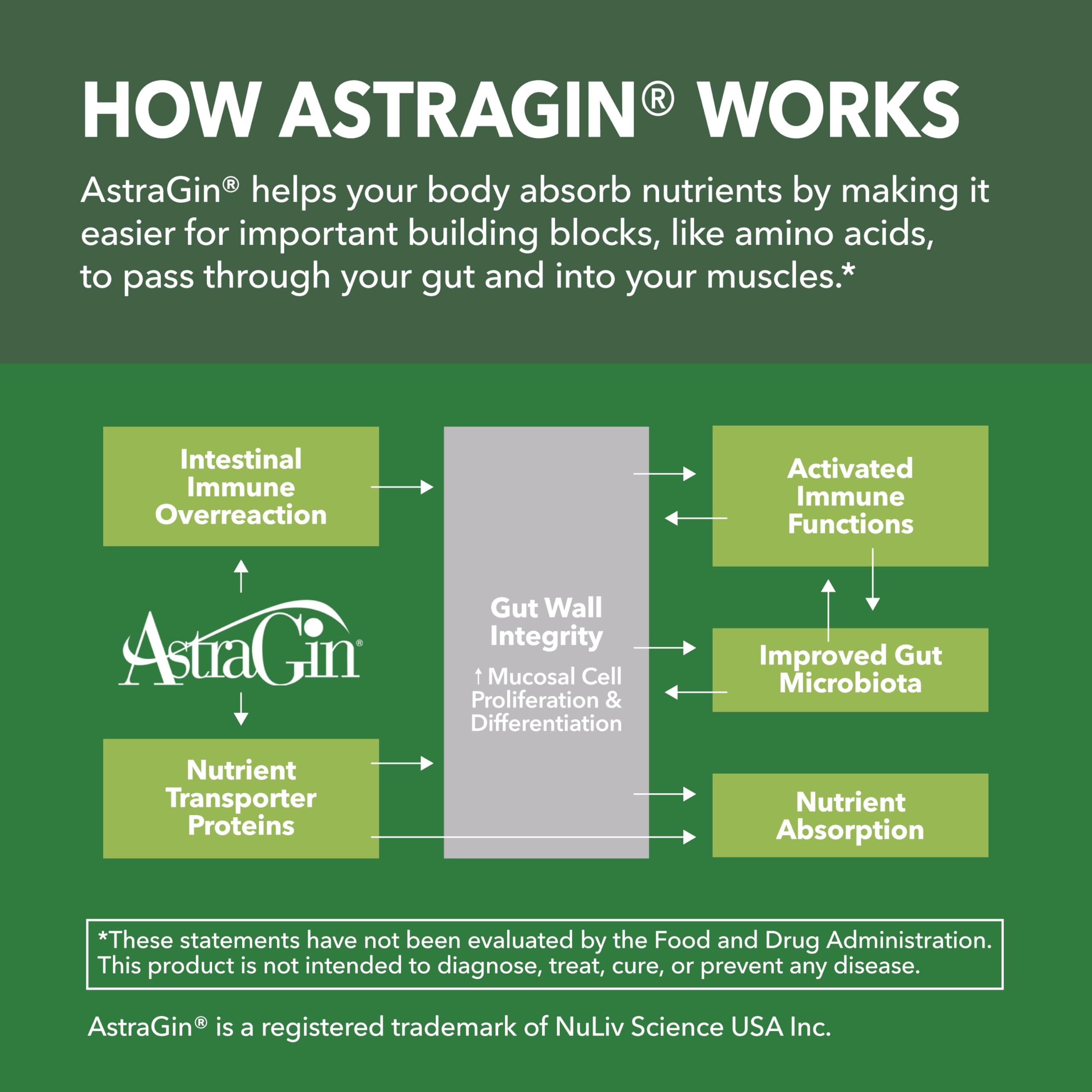 Packaging and month-long supply concept for creatine capsules