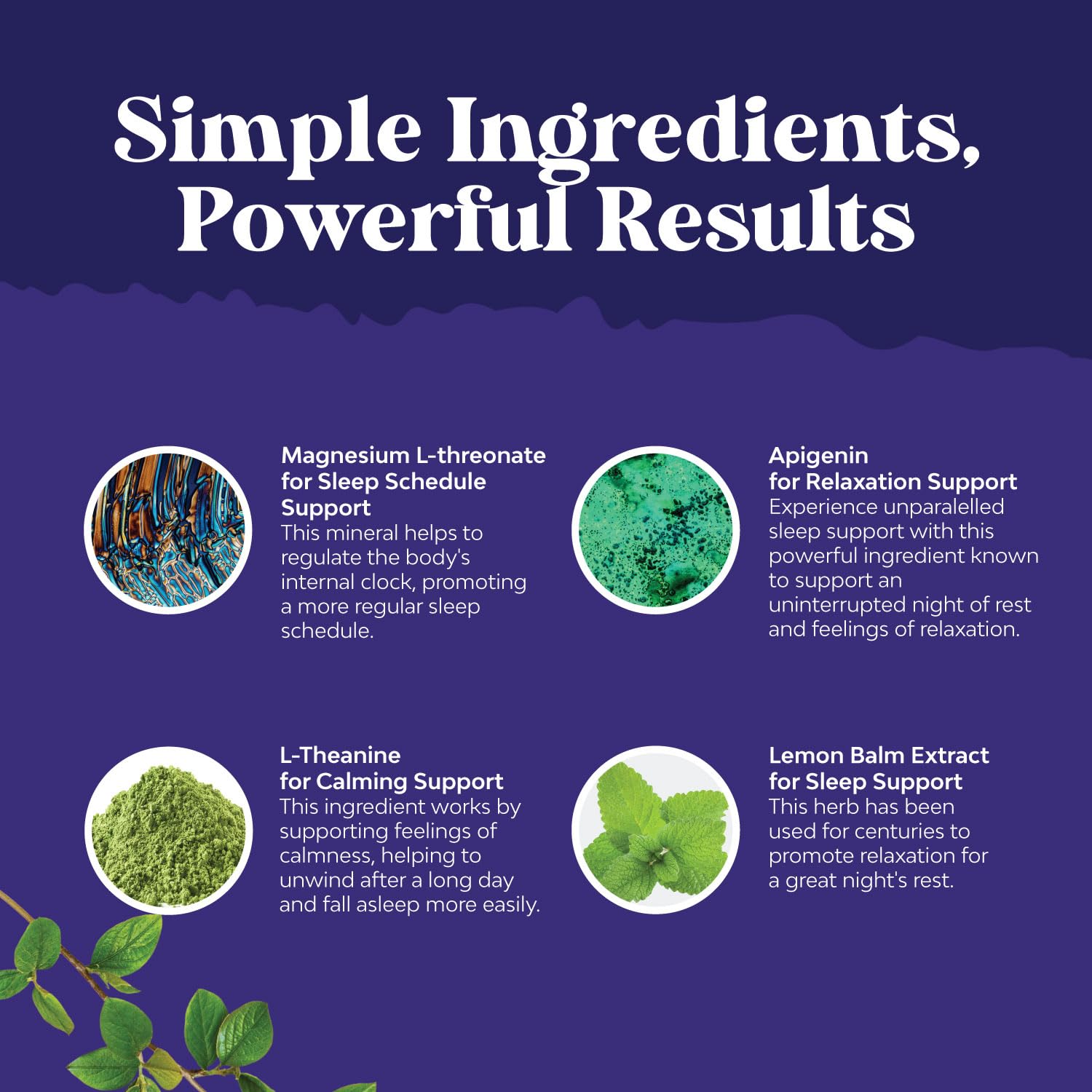 Magnesium formula supporting mood and cognitive function