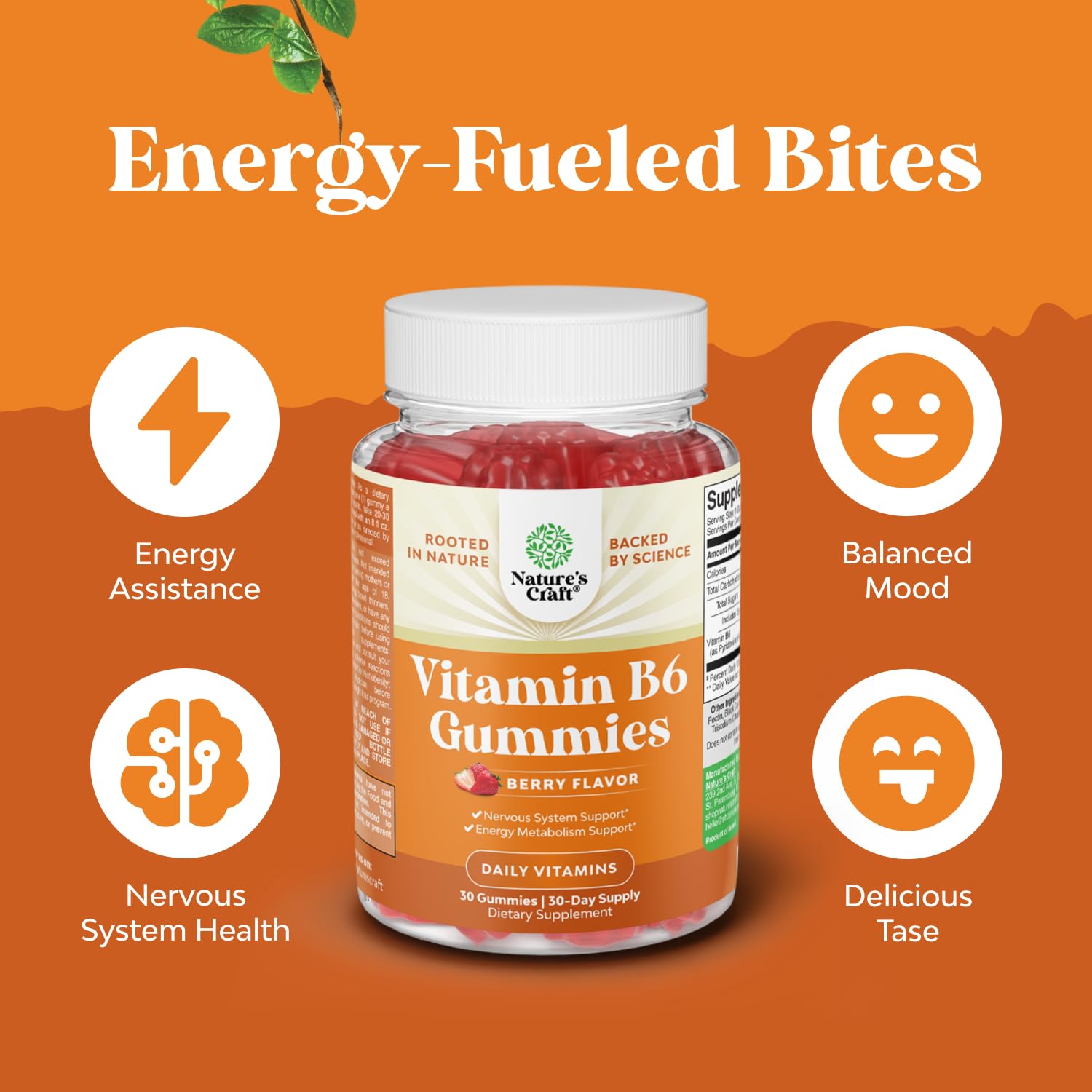 Graphic illustrating mood, energy, and nervous system support from B6