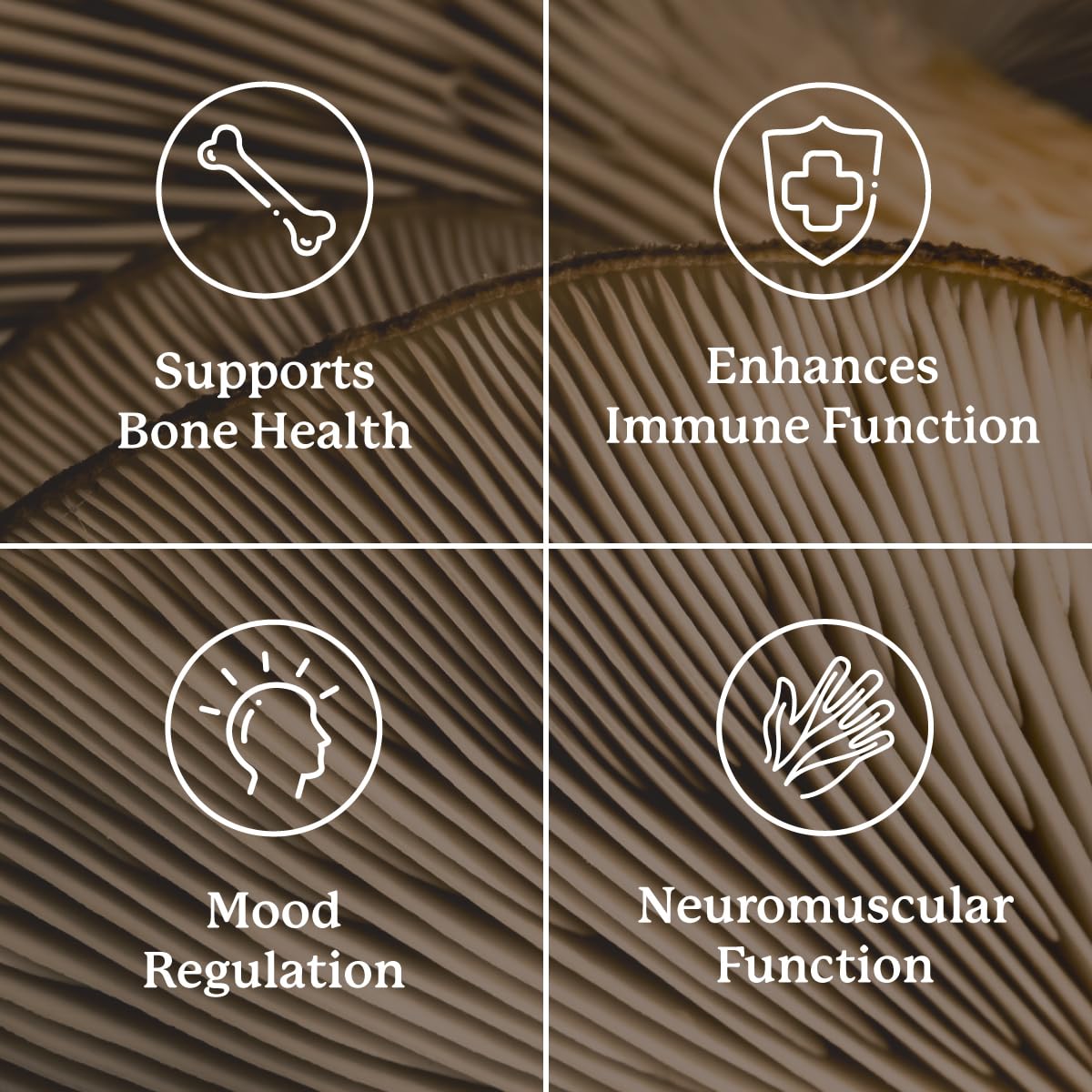 Graphic showing mood support benefits of Vitamin D3