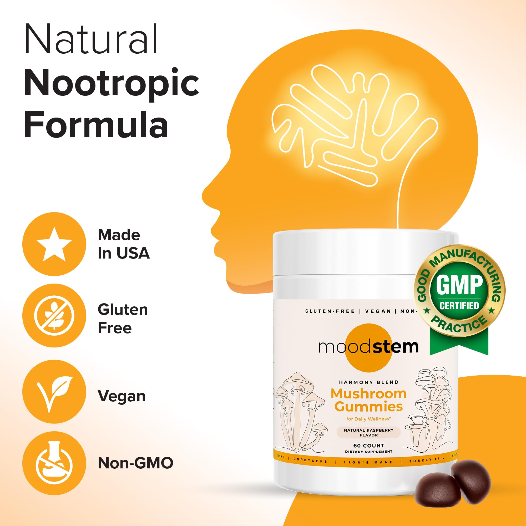 Front label highlighting 10 in 1 mushroom complex