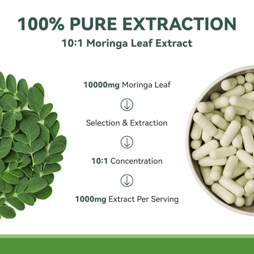 Moringa leaves from Himalayan foothills