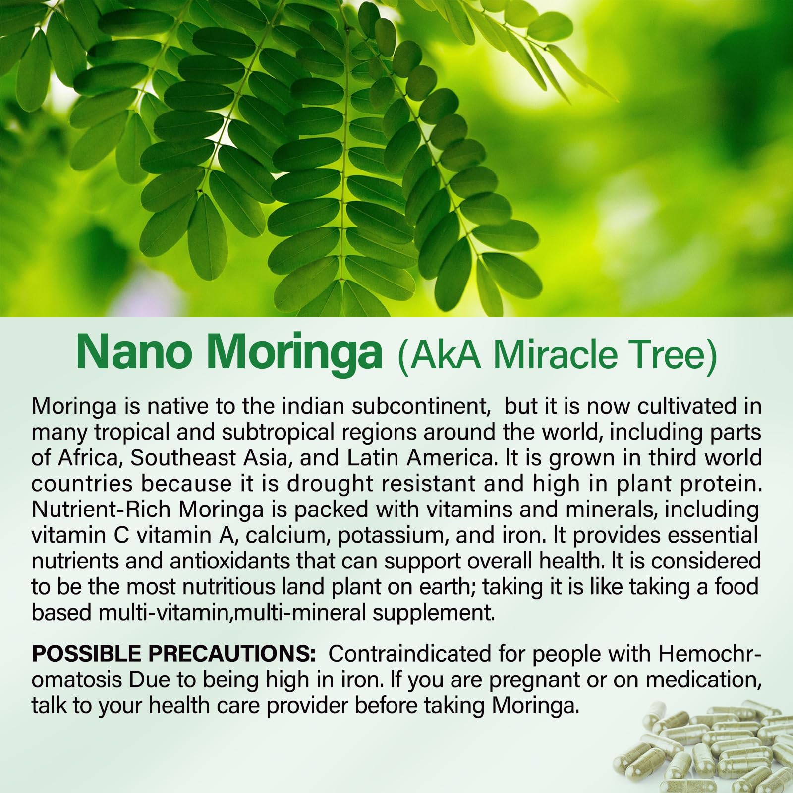Illustration showing daily usage of Moringa Capsules 800mg