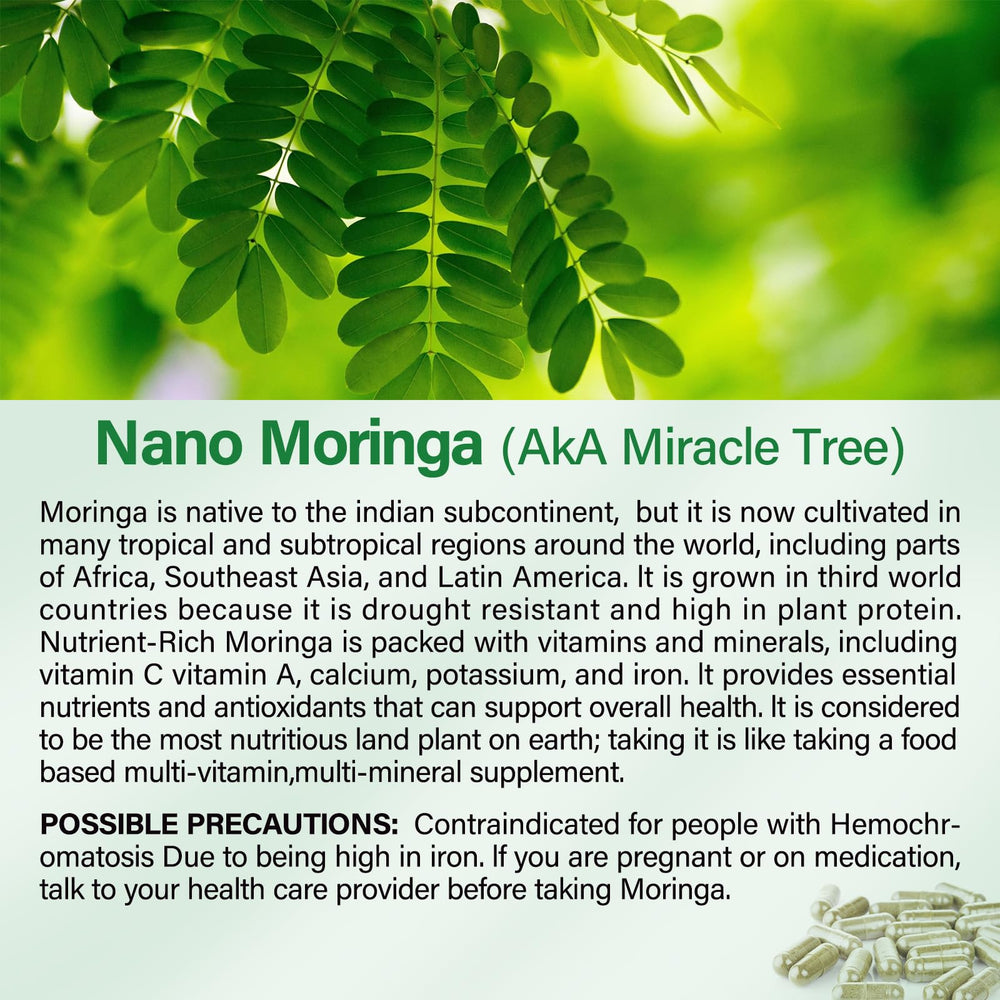 Illustration showing daily usage of Moringa Capsules 800mg
