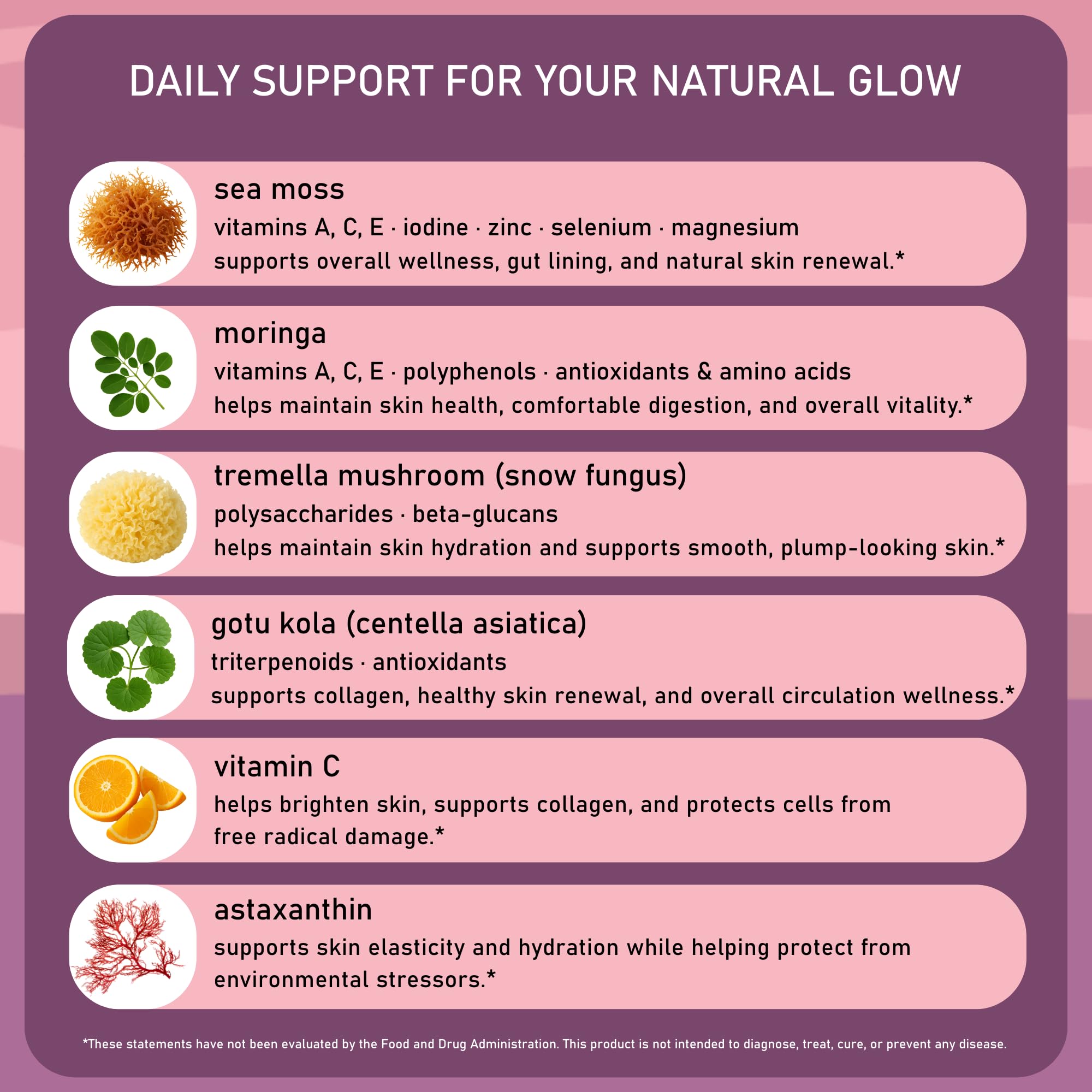 Moringa capsules for gut and immune support
