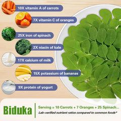 Close-up of organic moringa leaf powder ingredients