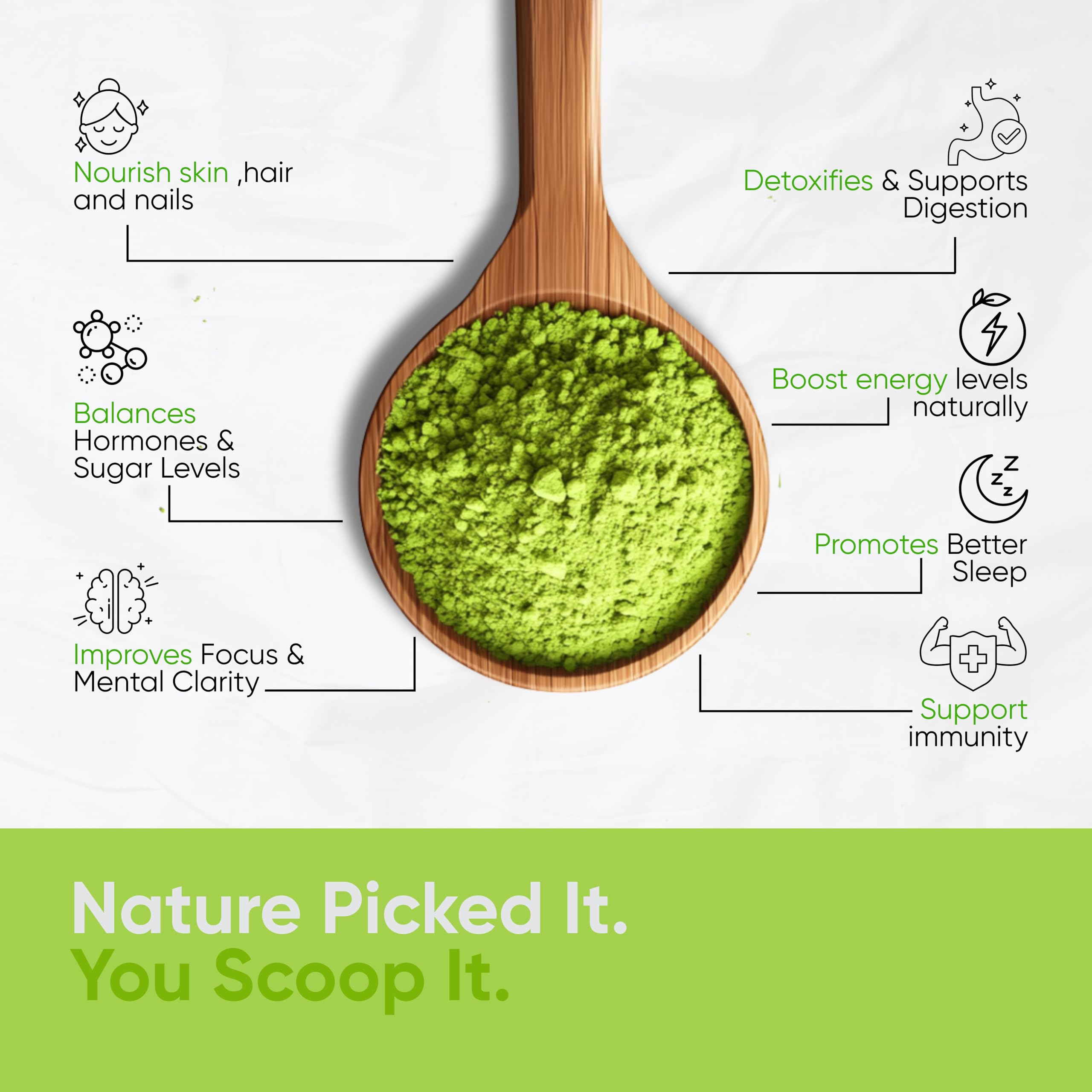 Close-up of moringa oleifera leaf powder