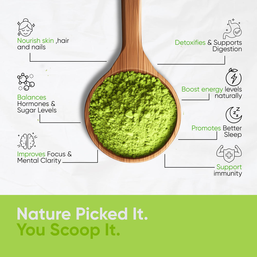 Close-up of moringa oleifera leaf powder