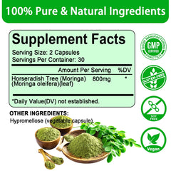 Moringa leaves and powder ingredients