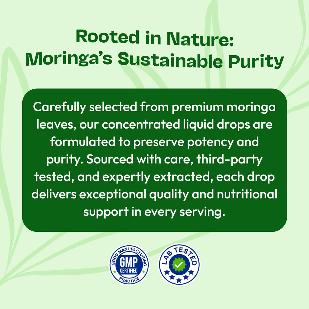 Illustration of moringa leaves with mixed berry accents