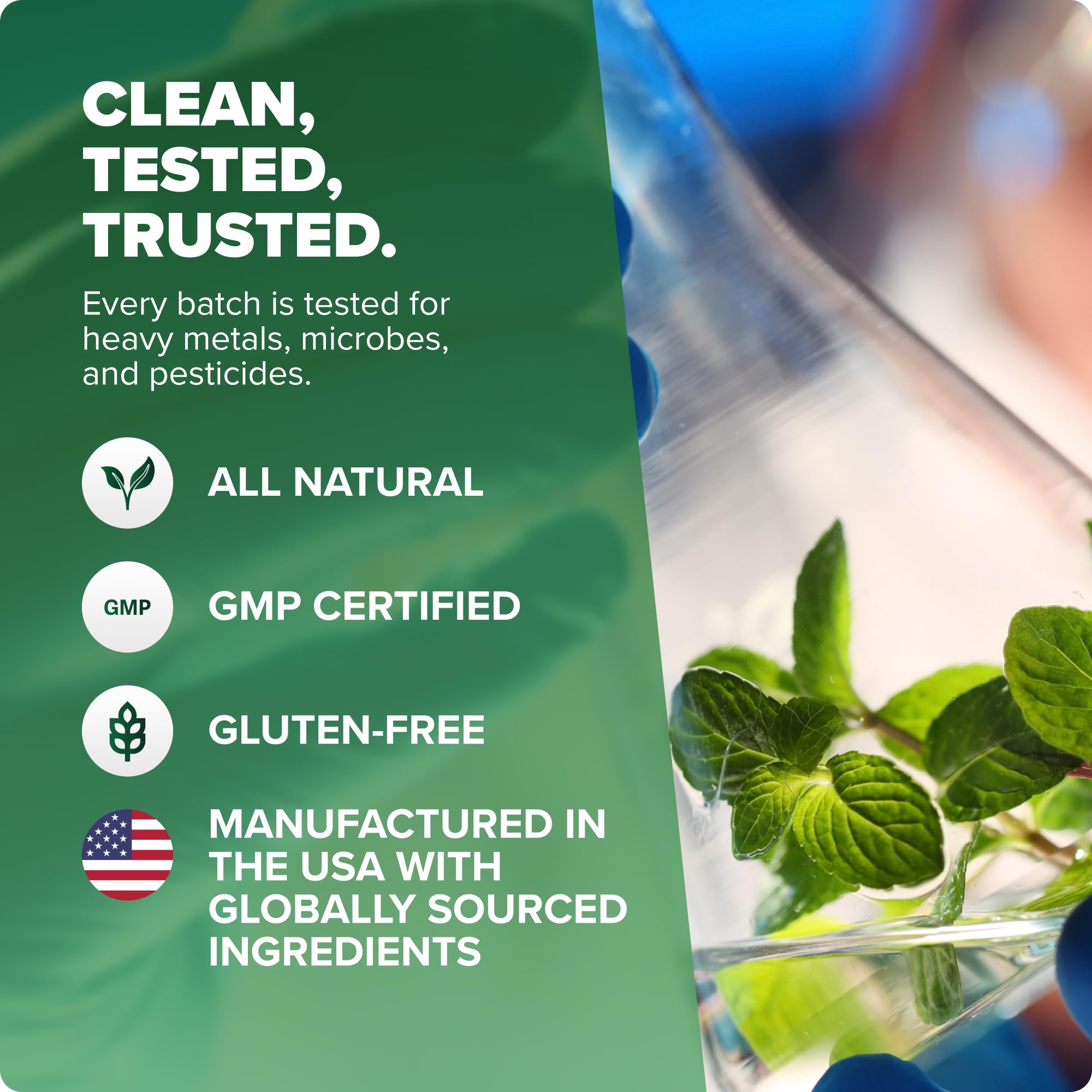 Cup of tea with moringa powder