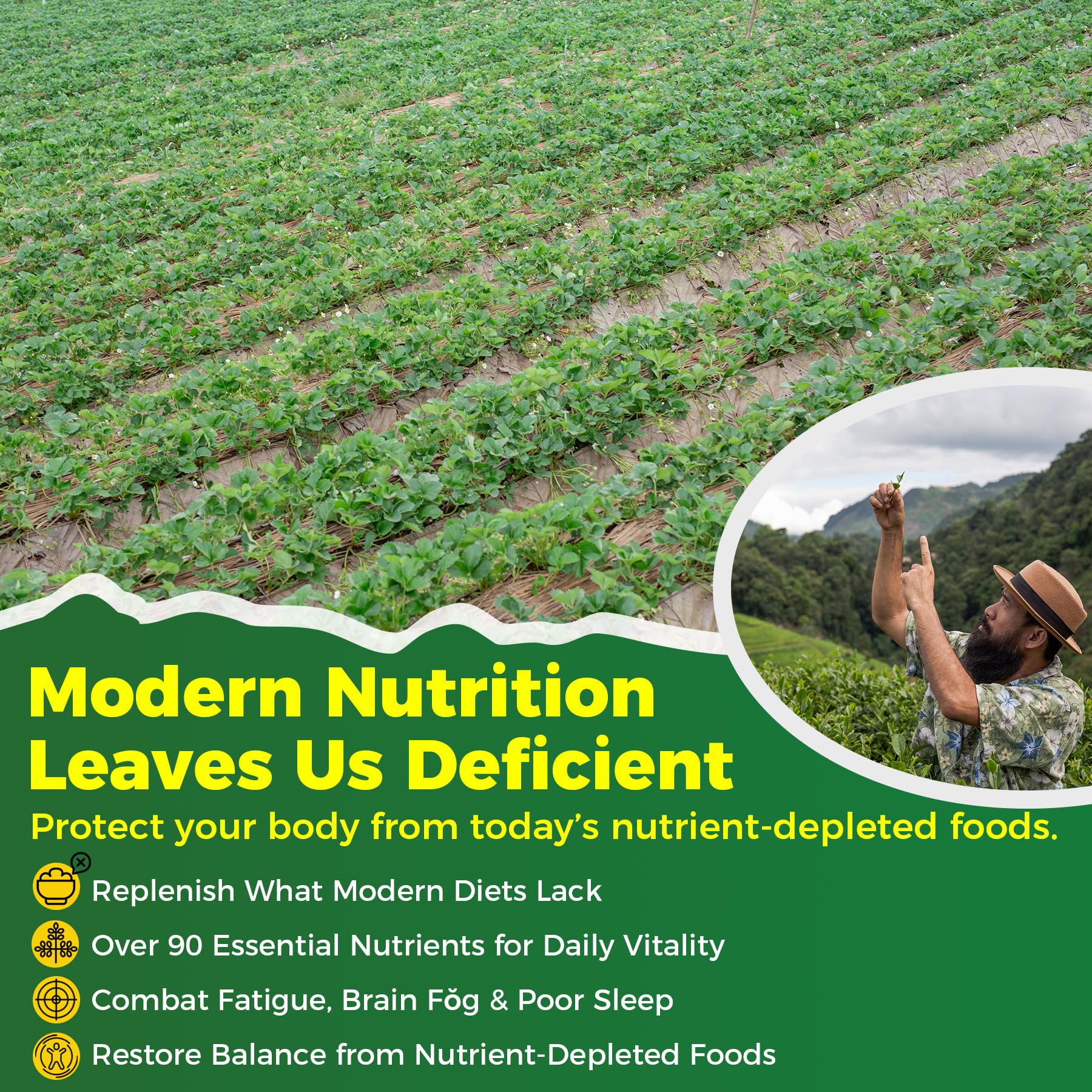 Gummies with background ingredients spirulina and moringa leaves