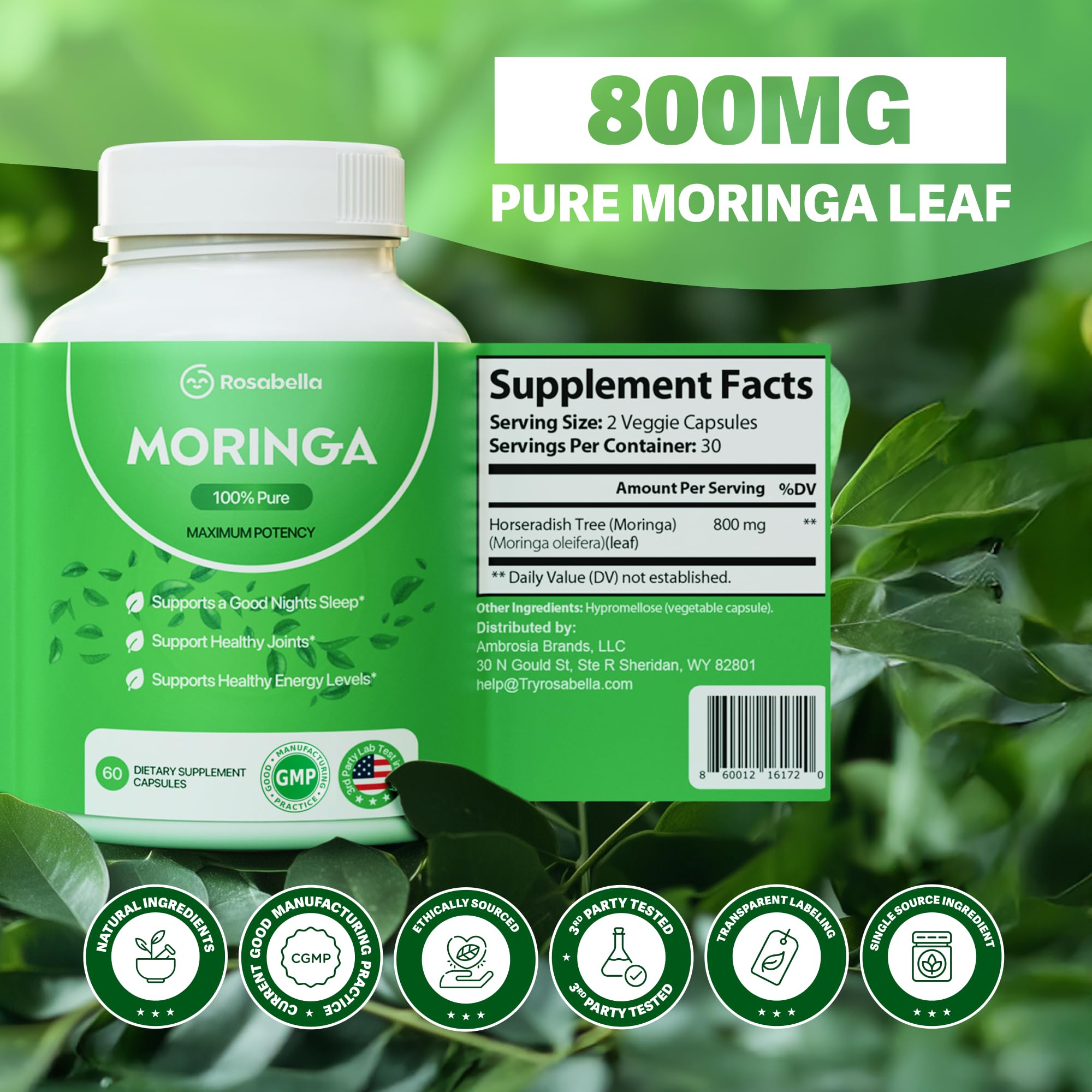 Close-up of moringa vitamins and amino acids in capsules