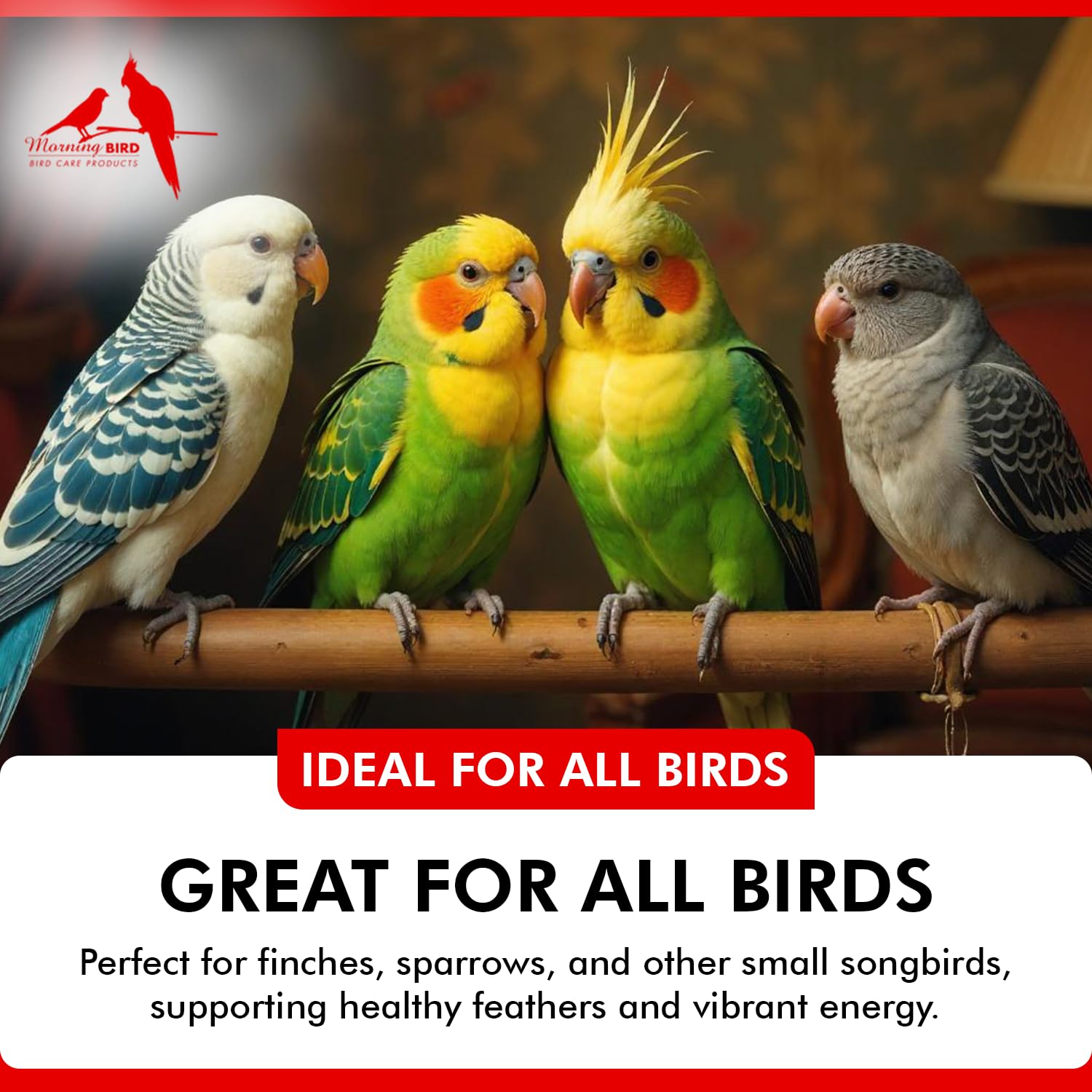 Ingredients: calcium carbonate, magnesium glycinate, vitamin D