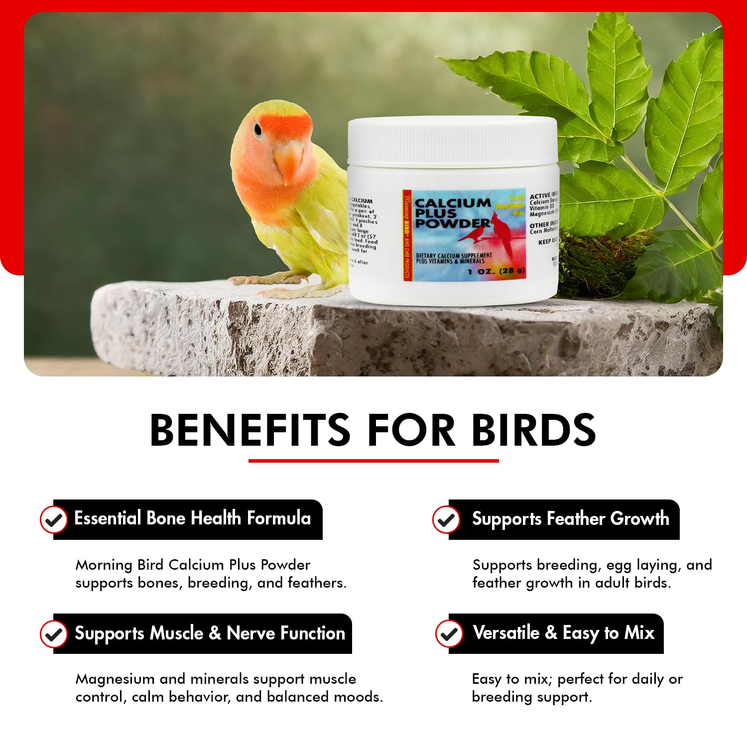 Calcium Plus Powder mixed into fruits and vegetables for birds