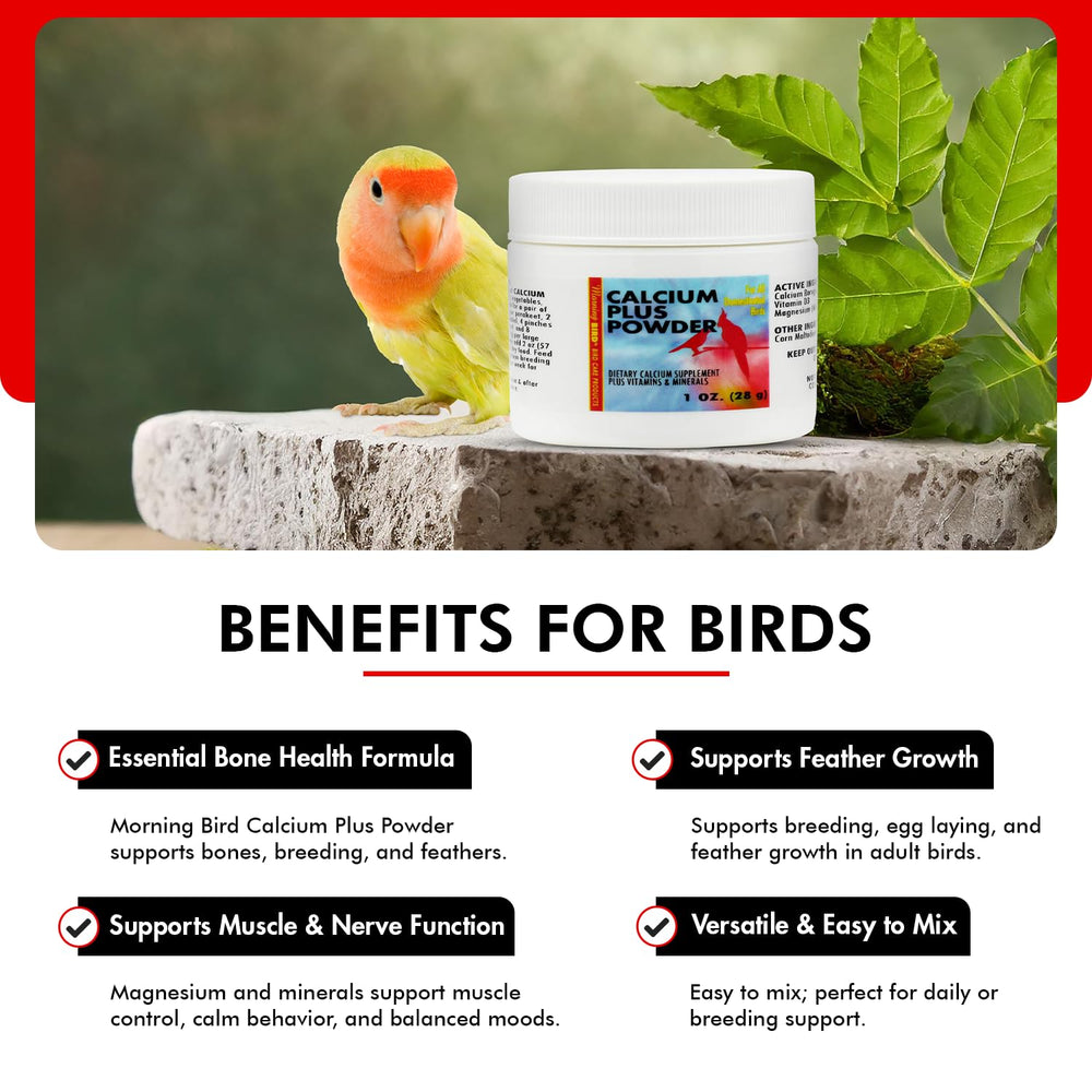 Calcium Plus Powder mixed into fruits and vegetables for birds