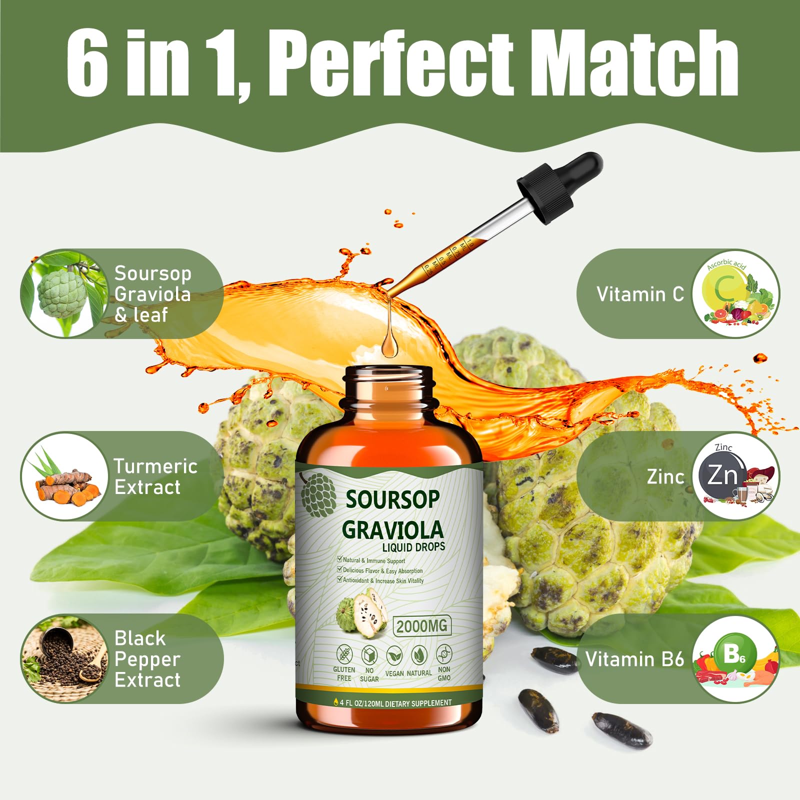 Soursop graviola leaves and fruit illustration